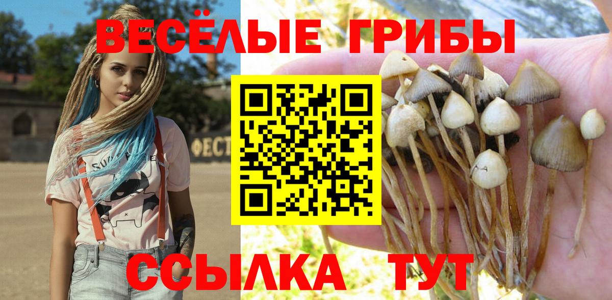 Псилоцибиновые грибы Cubensis  Вход с VPN  Мелеуз 